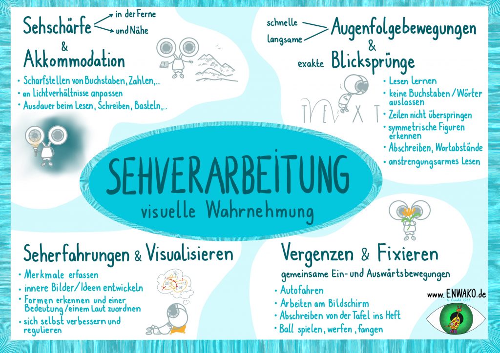 Schaubild zu den verschiedenen Arten der visuellen Verarbeitung